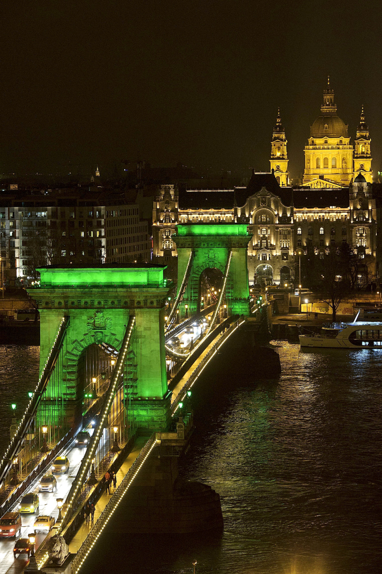 Image: Saint Patrick's Day in Budapest