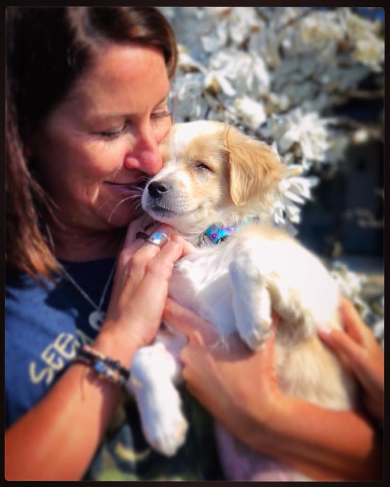 Smiley the blind therapy dog's beautiful legacy is living on.