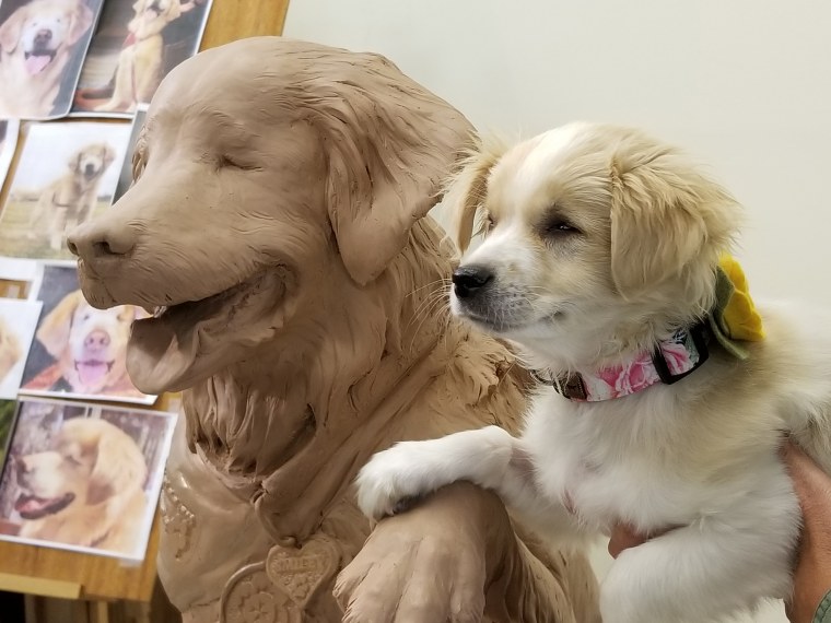 Smiley the blind therapy dog's beautiful legacy is living on.