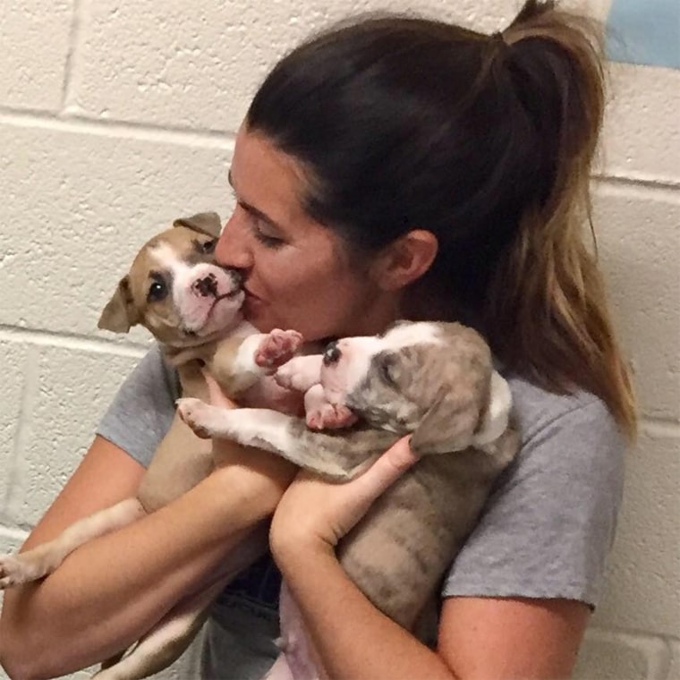 Shelter workers slow dance with cats and dogs coming out of surgery