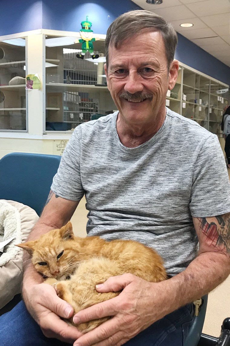 Man reunites with cat missing for 14 years
