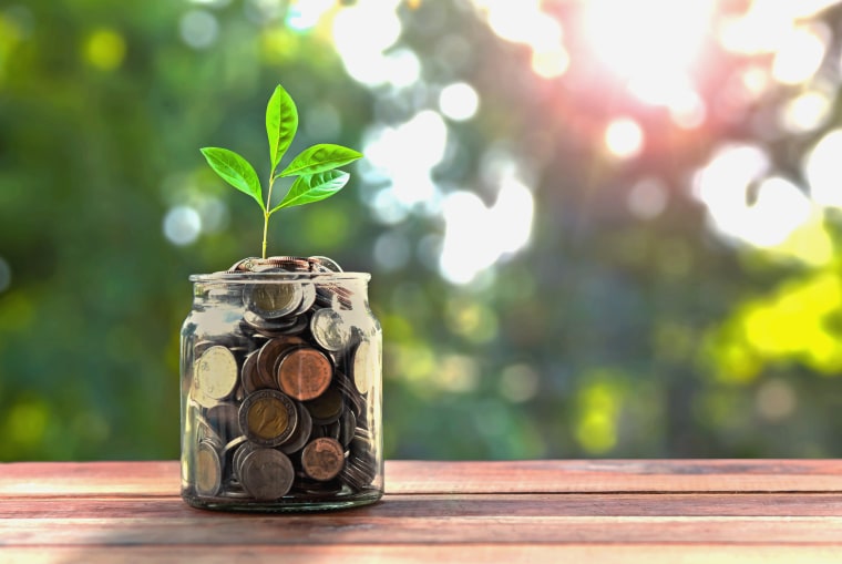 concept money and small tree in jar and sunshine