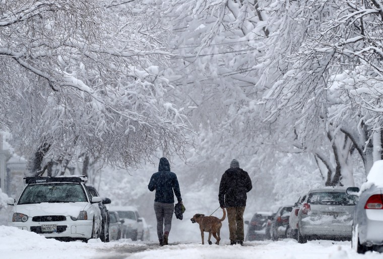 Image: Nor'easter Weather Scene