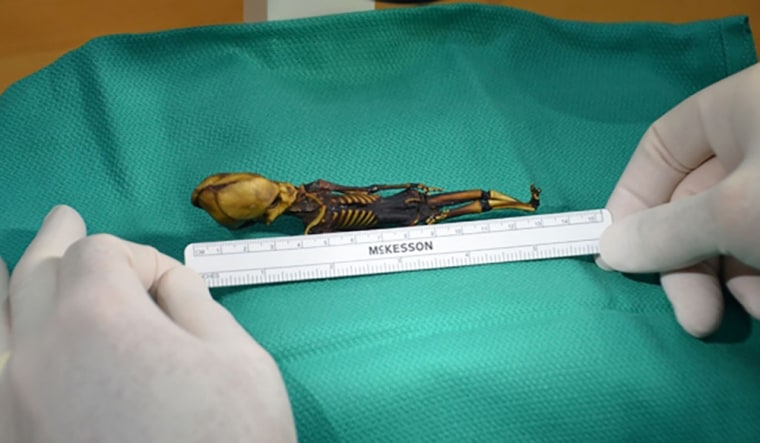 Image: 6-inch skeleton nicknamed Ata