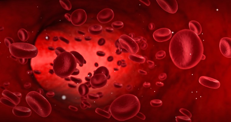 Image: red blood cells