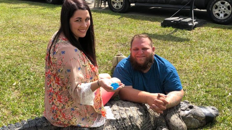 Alligator baby gender reveal