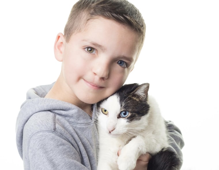 Bullies have been making Madden Humphreys feel insecure about his two different colored eyes and cleft lip. But a cat with a cleft lip and two different colored eyes is making him feel better.