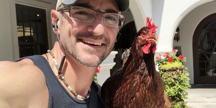 Man adopts pet chicken after his beloved dog dies