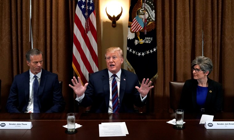 Image: Flanked by Senator John Thune (R-SD) and Senator Joni Ernst (R-IA), U.S. President Donald Trump speaks during a meeting with governors and members of Congress at the White House in Washington, on April 12, 2018.