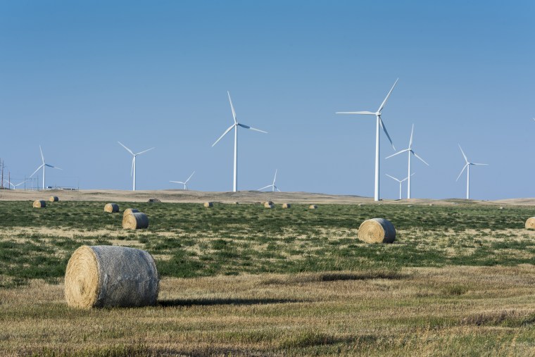 Image: Jobs in wind energy