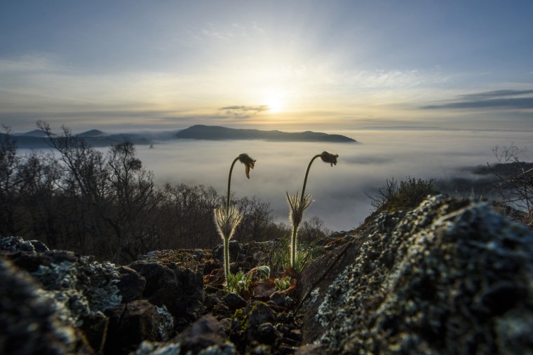 Image: Spring in Slovakia