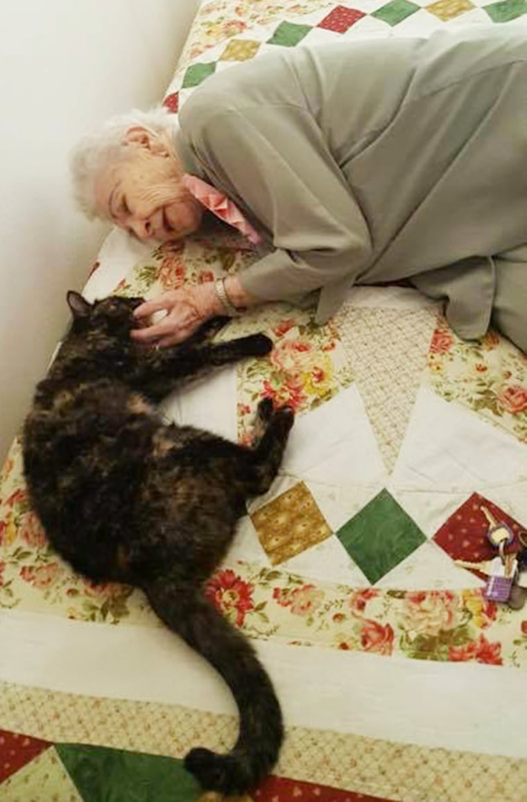 103-year-old woman gets surprise cat for birthday