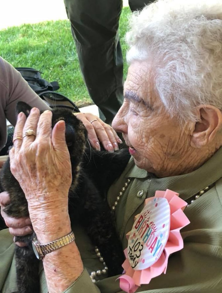 103-year-old woman gets cat for birthday