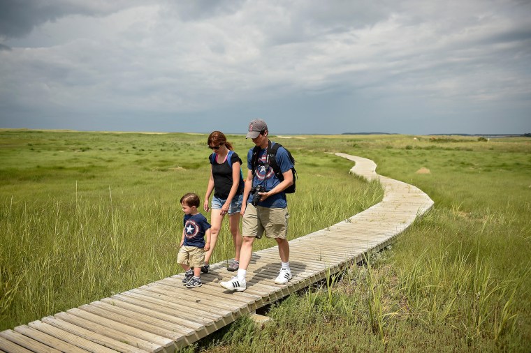 Take a stroll on the boardwalk trail through the Wellfleet Bay Wildlife Sanctuary, within the Mass Audubon on Cape Cod.