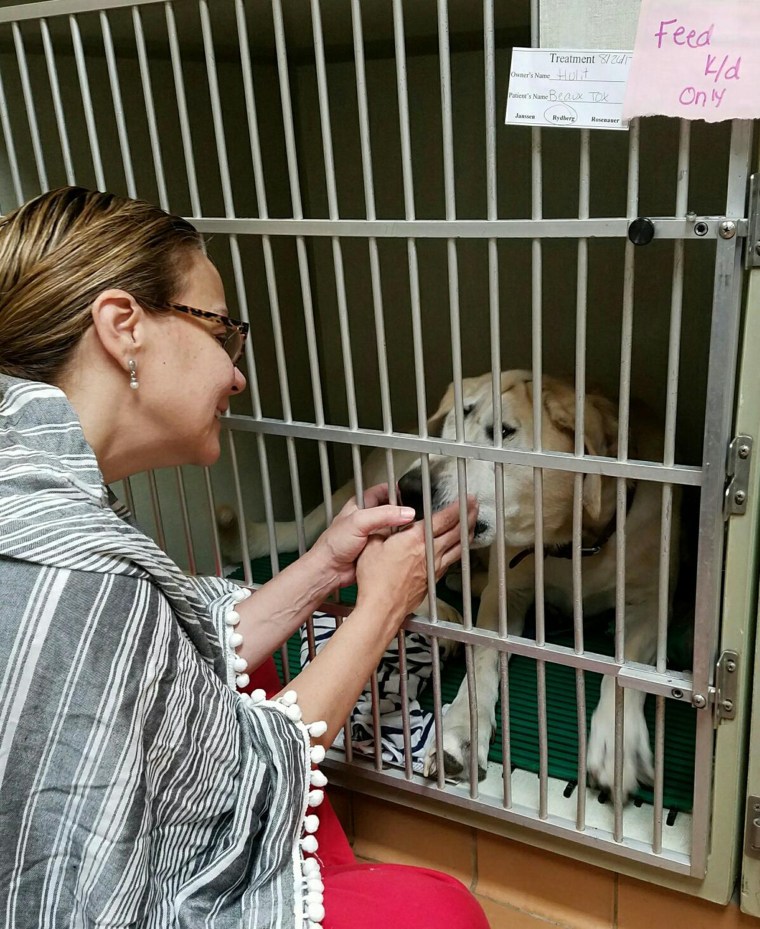 Dog with facial deformity is rescued