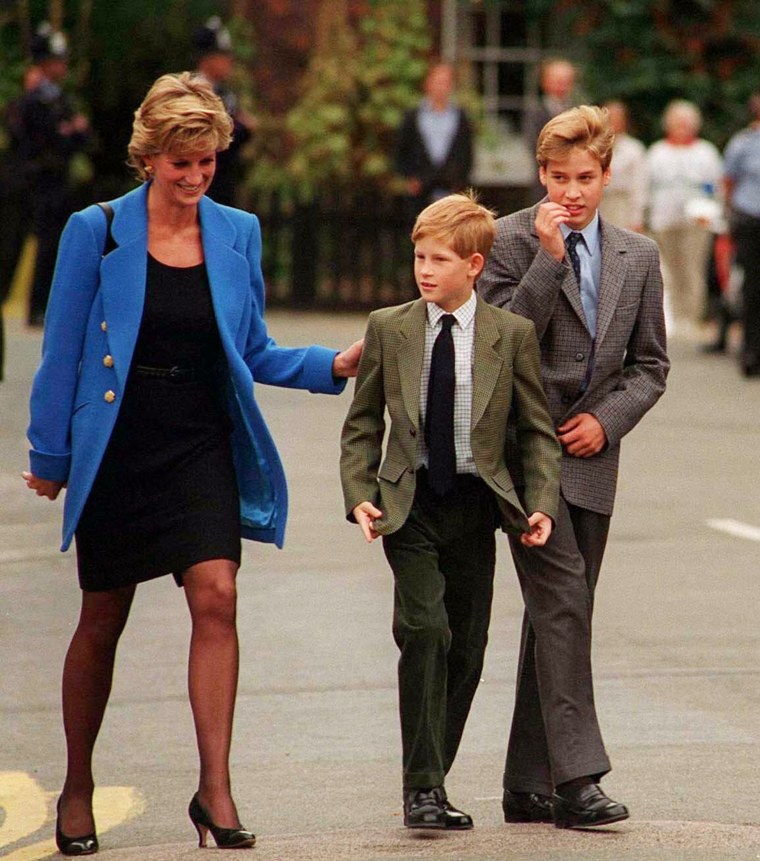 Prince William with Princess Diana and brother Prince Harry