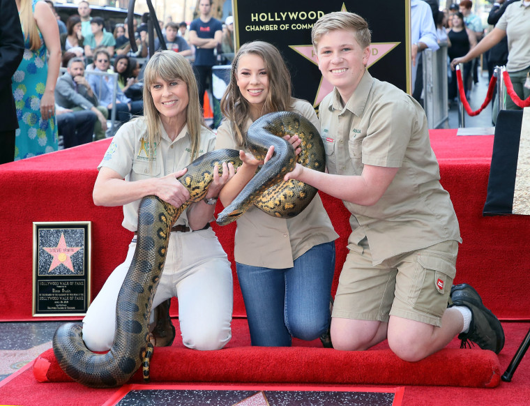 Image: Steve Irwin Honored Posthumously With Star On The Hollywood Walk Of Fame