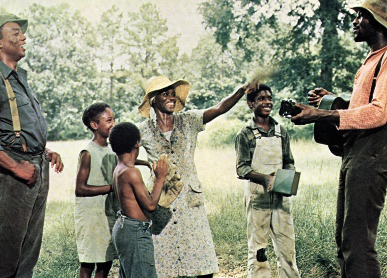 Image: Film still from the movie Sounder, with Paul Winfield, Yvonne Jarrell, Eric Hooks, Cicely Tyson, Kevin Hooks, Taj Mahal in 1972.