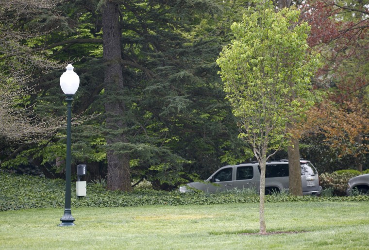 Image: White House South Lawn 