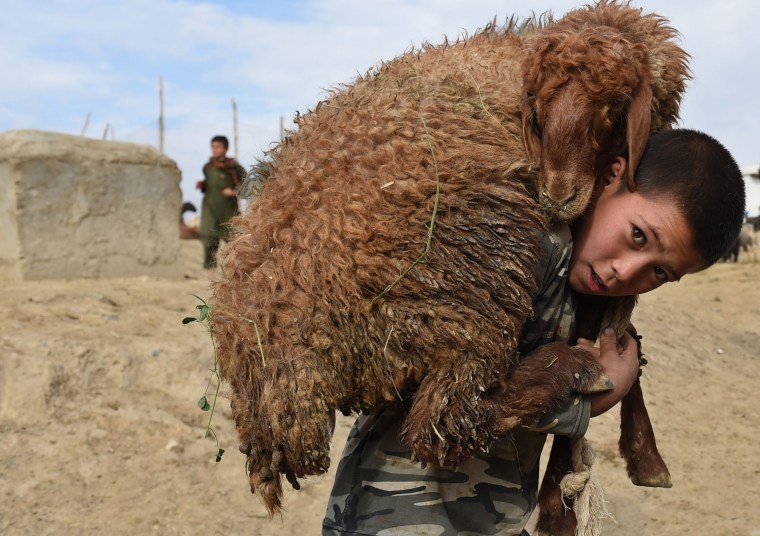 Image: Afghanistan