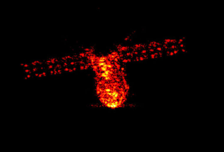 Image: CHINA-SPACE