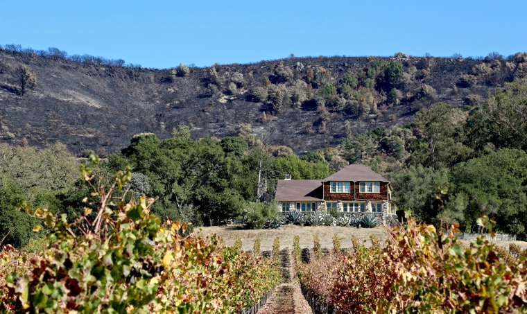 Image: The Partrick Fire torched Mt. Arrowhead, just above Gundlach Bundschu Winery