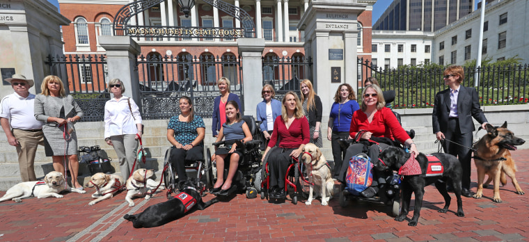 Image: Service Dogs