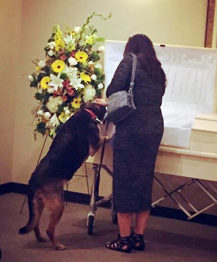 Grieving Dog finally gets closure