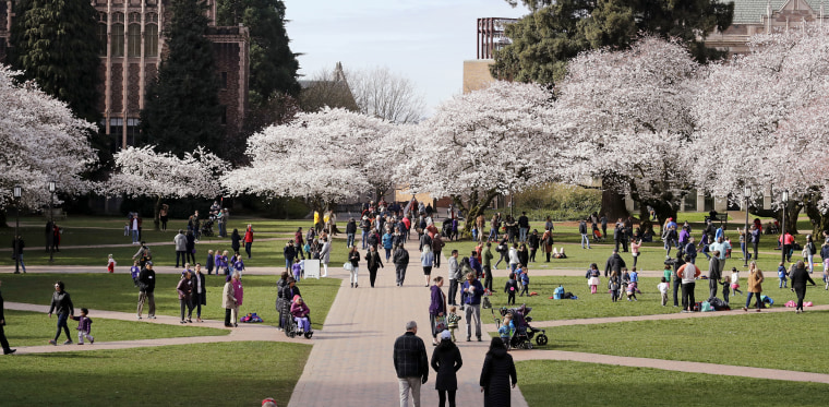 Image: University of Washington in Seattle