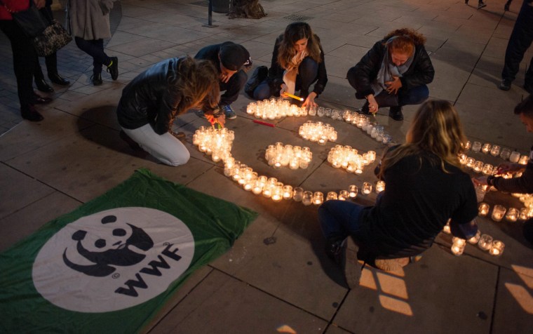 Image: Members from the World Wildlife Fund (WWF) light candles during Earth Hour