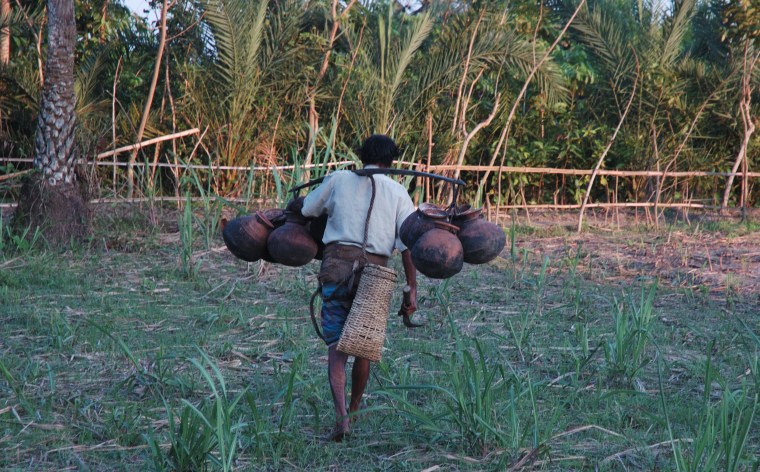 Image: A date palm sap collector in Bangladesh