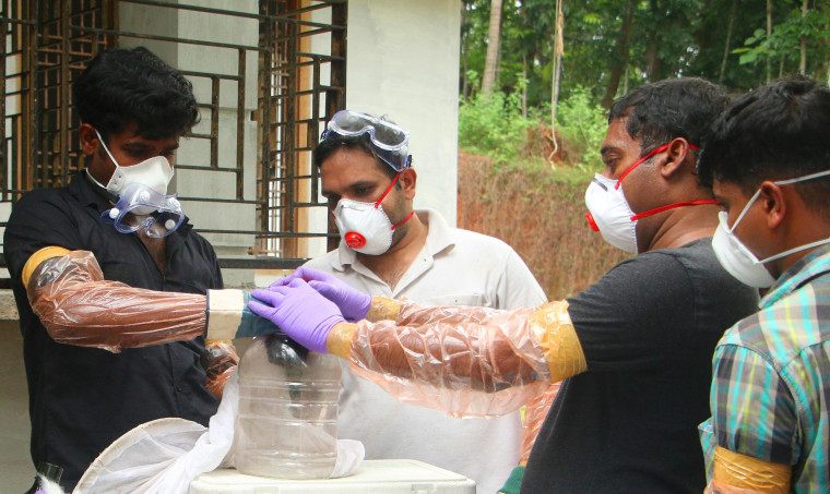 Image: Animal Husbandry department and Forest officials deposit a bat into a container