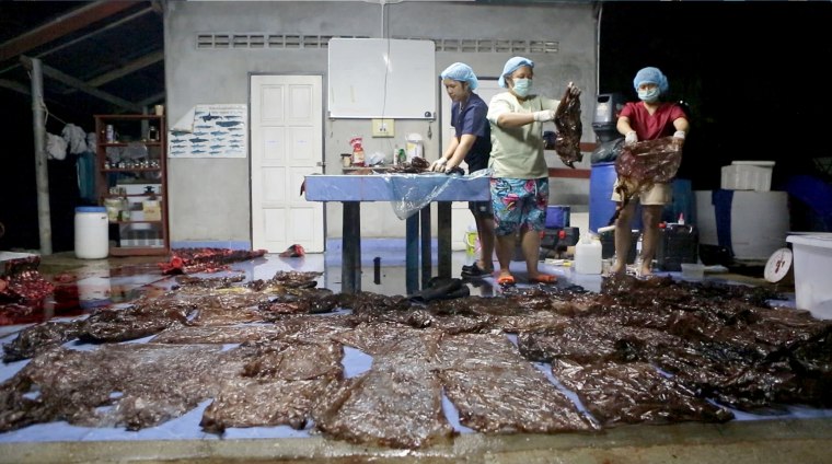 Image: A government marine veterinarian is being helped by volunteers to remove plastics from the stomach of dead male pilot whale at the Marine and Coastal Resource Research and Development Center in Songkla province, Thailand, June 1, 2018.