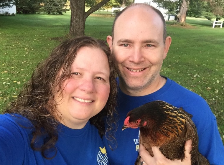 Chicken backyard coop