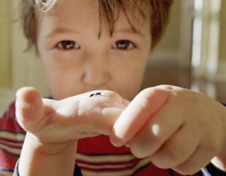 Young boy holding an ant in his hand