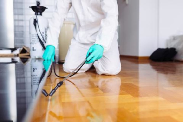 Exterminator in work wear spraying pesticide with sprayer