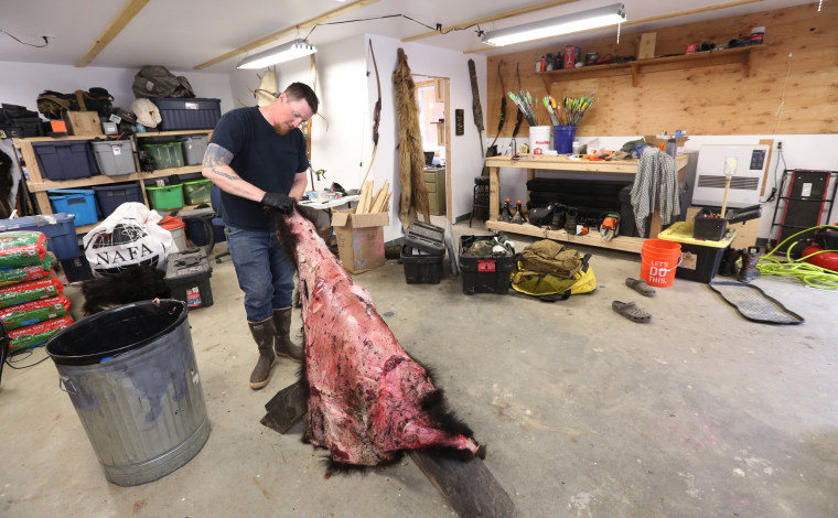 Image: Tyler Freel fleshes out a black bear hide
