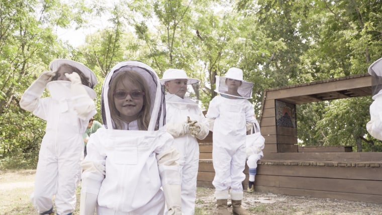 Whole Foods and Whole Kids Foundation aim to put bee hives in 50 schools to educate children about the bees.