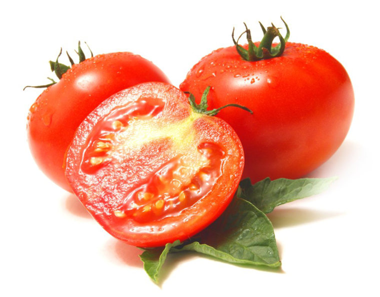 Tomato poisonous hot sale to dogs