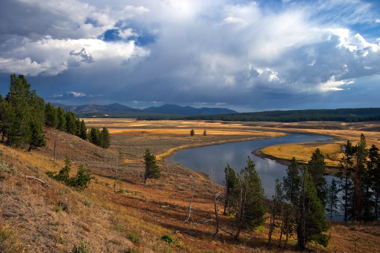 Hayden Valley, Yellowstone National Park