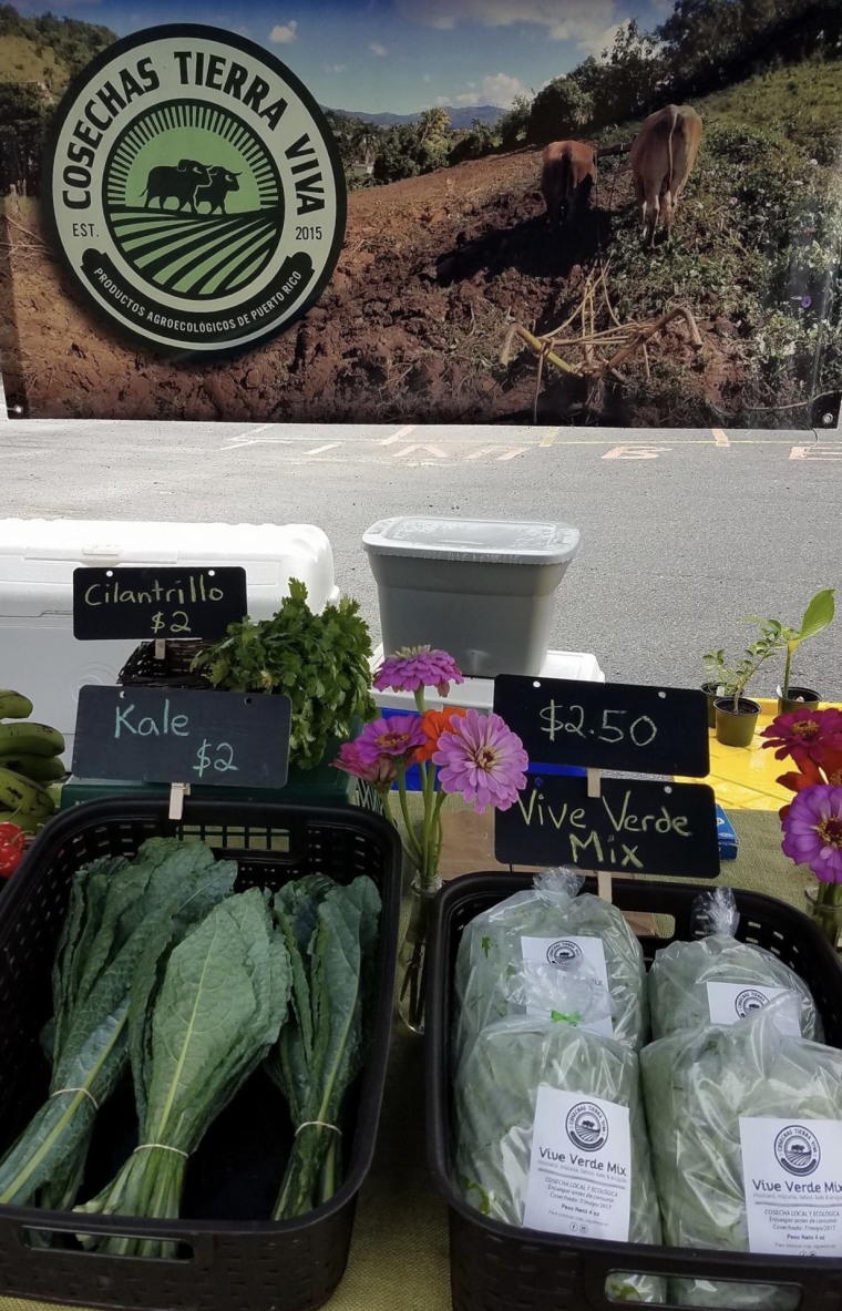 Some of the crops that Eduardo Burgos and Franco Marcano grow at Cosechas Tierra Viva in Las Piedras, Puerto Rico