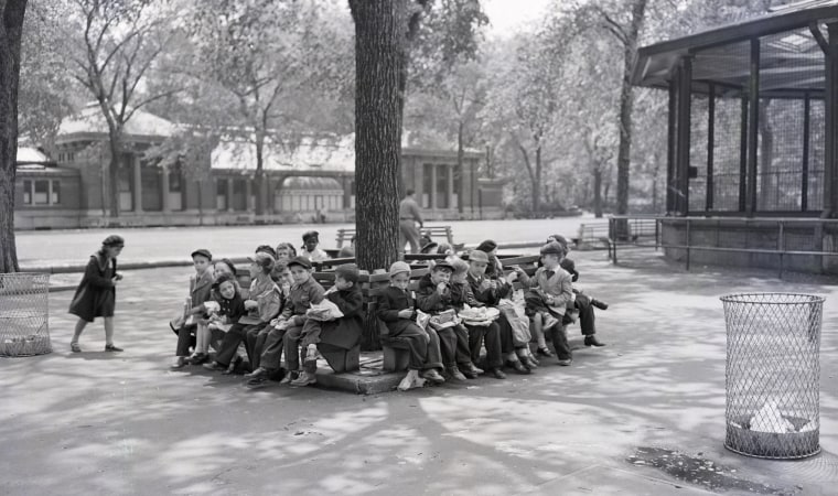 Children Eating Under Tree at Zoo