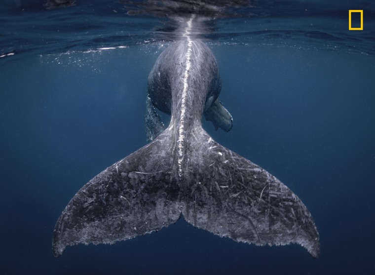 National Geographic Travel Photographer of the Year Contest