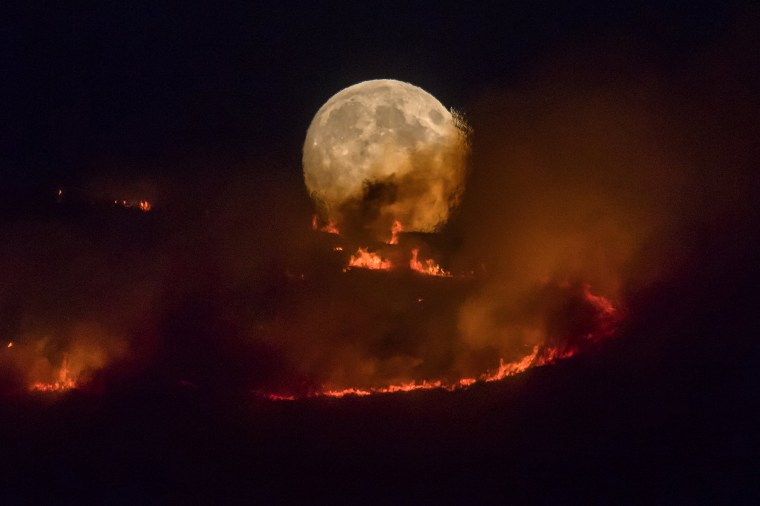 Image: BESTPIX - Summer Weather Sparks Wildfire On Saddleworth Moor