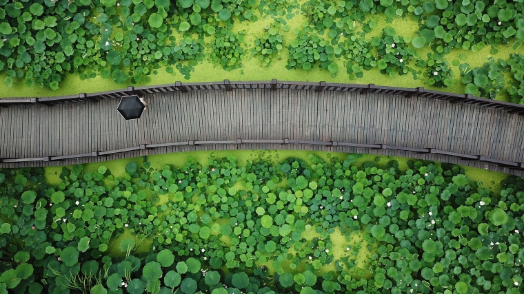 Image: TOPSHOT-CHINA-LIFESTYLE-NATURE