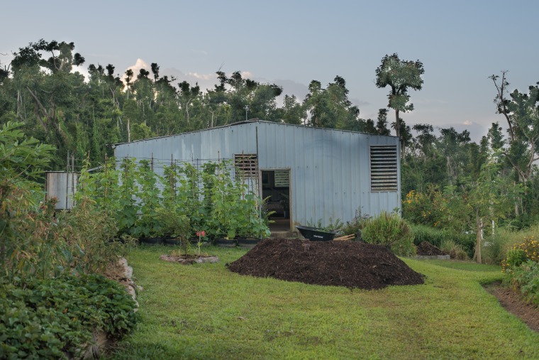 The headquarters of Cosechas Tierra Viva, a 'smart farm' located in Las Piedras, Puerto Rico.