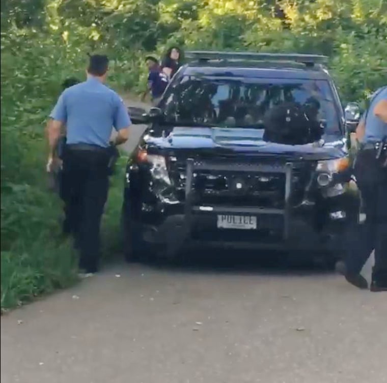 Police in a Minneapolis park put two children into a squad car.