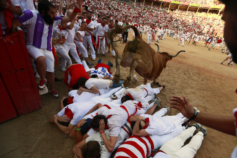 Image: Revelers protect themselves as a calf jumps over them in the bullring