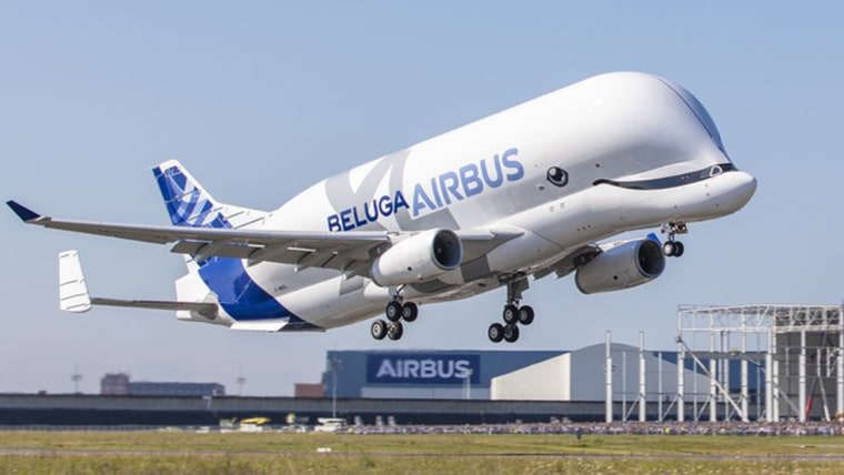 Beluga Whale Plane