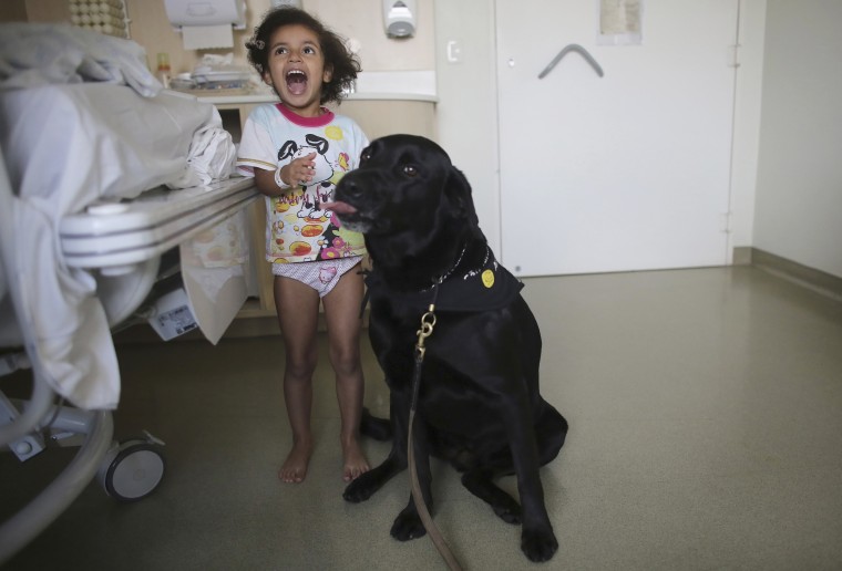 Image: Patient Rayssa plays with Troia, a therapeutically trained dog, during a therapy session in Sao Paulo